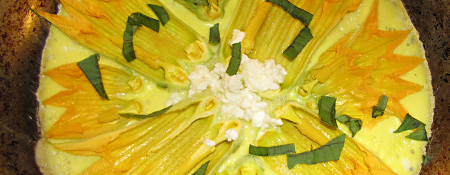 Zucchini-blossom